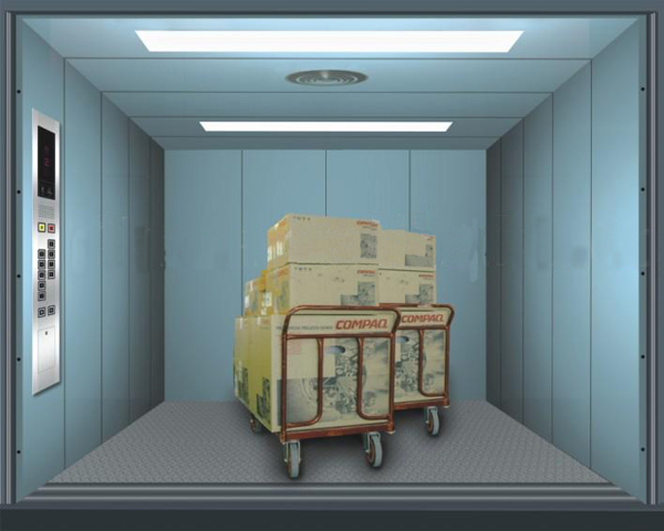 Vikas Cranes GOODS ELEVATORS Cranes